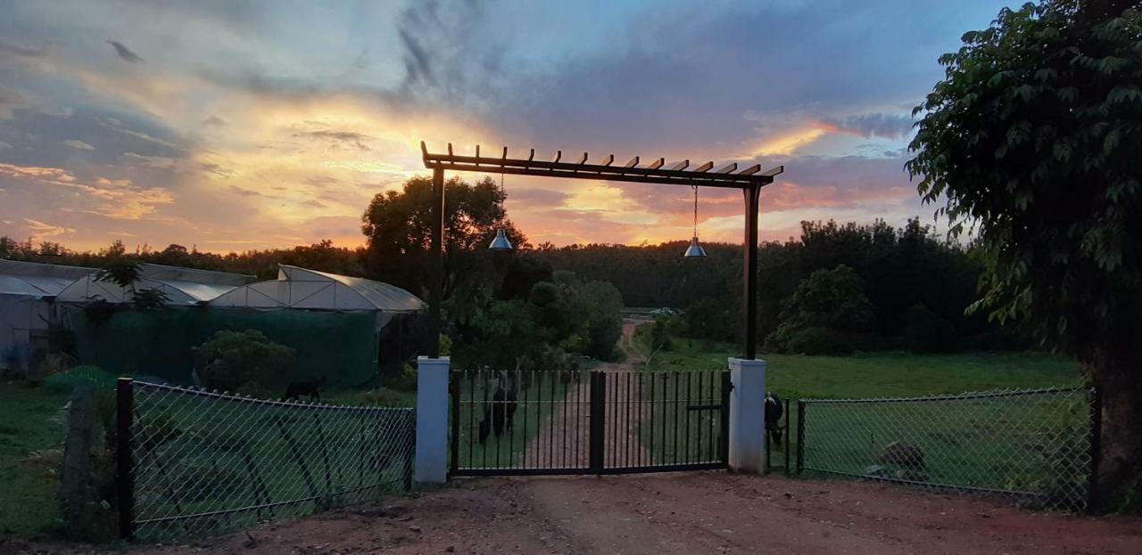 SilverShine Homestay Chikmagalūr Exterior foto